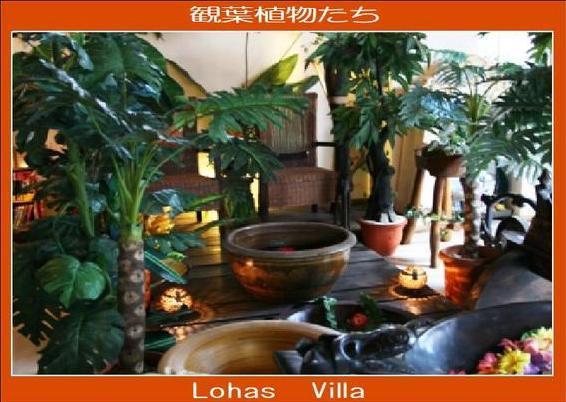 Lohas Villa Naha Exterior photo